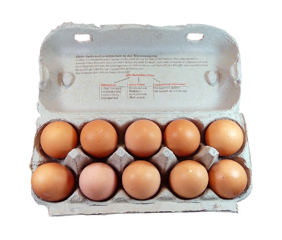Eihaltige Lebensmittel wurden auf Fipronil getestet Eier im Eierkarton