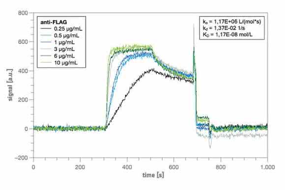 Die sechs Bindungskurven eines Spots auf dem Peptidmicroarray Die sechs Bindungskurven eines Spots auf dem Peptidmicroarray