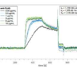 Die sechs Bindungskurven eines Spots auf dem Peptidmicroarray Die sechs Bindungskurven eines Spots auf dem Peptidmicroarray