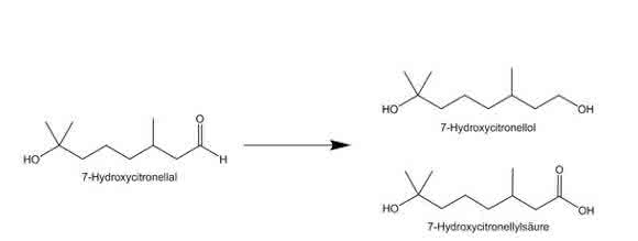 Postulierter Metabolismus des 7-Hydroxycitronellal Postulierter Metabolismus des 7-Hydroxycitronellal