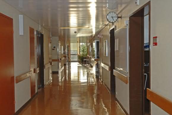 In Krankenhäusern sind immunisierende Enzyme bei Enterobacteriaceae zunehmend verbreitet In Krankenhäusern sind immunisierende Enzyme bei Enterobacteriaceae zunehmend verbreitet
