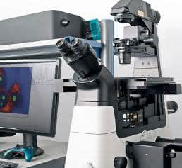 Mikroskop alpha300 Ri von Witec