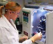 Erstautorin Catharina Kober mit dem LegioTyper-Chip (Bild: Jonas Bemetz / TUM) Erstautorin Catharina Kober im Labor