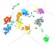 Darstellung des Fingerabdrucks der Genexpression jeder einzelnen Zelle ... Darstellung des Fingerabdrucks der Genexpression jeder einzelnen Zelle ...