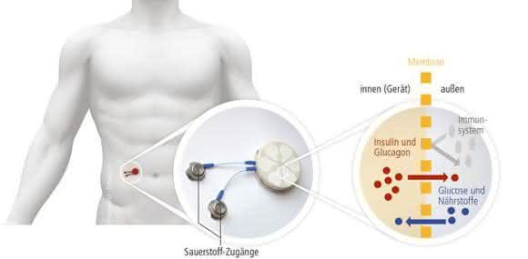 Wirkungsweise des Bioreaktors
