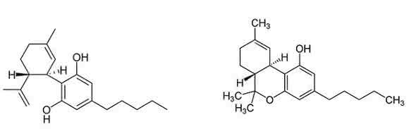 Tetrahydrocannabinol (THC) und Cannabidiol (CBD) Tetrahydrocannabinol (THC) und Cannabidiol (CBD)