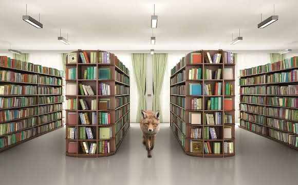 Knowledge &amp; Trends