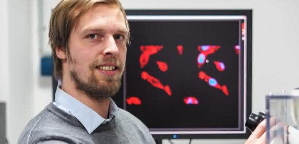 Forschungsgruppenleiter Sander Bekeschus beim Mikroskopieren von Tumorzellen