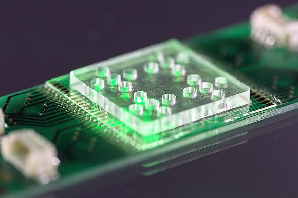 Antibiotika-Resistenzen: Lab-on-a-Chip-System für schnelle Medikamenten-Auswahl