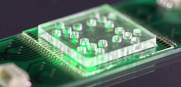 Antibiotika-Resistenzen: Lab-on-a-Chip-System für schnelle Medikamenten-Auswahl