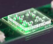 Antibiotika-Resistenzen: Lab-on-a-Chip-System für schnelle Medikamenten-Auswahl