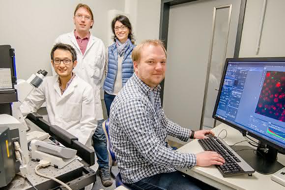 Immunsystem: Granulozyten „killen“ mit Chlorbleiche