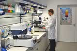 Grundlagen metallographischer Verfahren und Techniken Grundlagen metallographischer Verfahren und Techniken