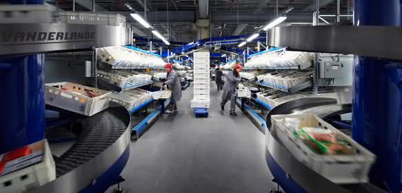 Vanderlande-Edeka-Kommissionierung