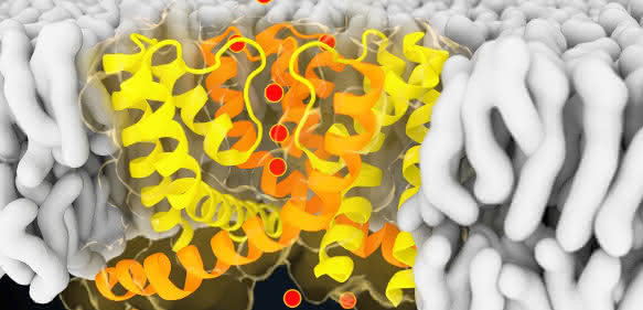Visualisierung eines Schnappschusses aus der Computersimulation des Ionenkanals NaK.