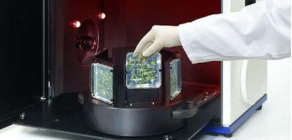 In-Vivo-Plant-Imaging-System