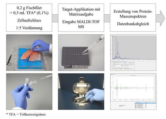 Probenaufarbeitung