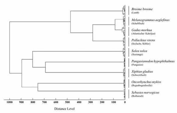 Dendrogramm ausgewählter Fischarten