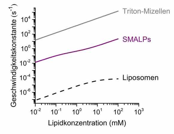 Geschwindigkeitskonstanten des Lipidaustausches Geschwindigkeitskonstanten des Lipidaustausches
