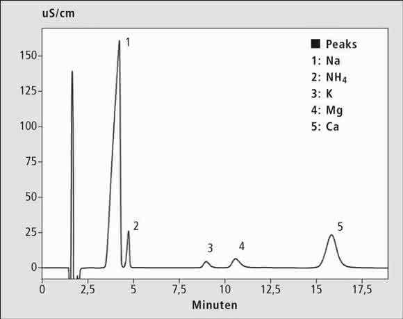 Ionenchromatogramm