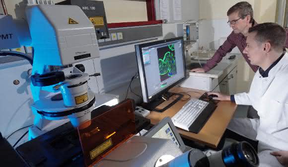 Dr. Thomas Schneider (vorn) und Prof. Dr. Michael Glei wollen die toxikologischen Eigenschaften von Nanopartikeln an Zellkulturen untersuchen ... Ernährungswissenschaftler Dr. Thomas Schneider und Prof. Dr. Michael Glei