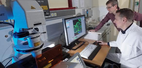 Dr. Thomas Schneider (vorn) und Prof. Dr. Michael Glei wollen die toxikologischen Eigenschaften von Nanopartikeln an Zellkulturen untersuchen ... Ernährungswissenschaftler Dr. Thomas Schneider und Prof. Dr. Michael Glei