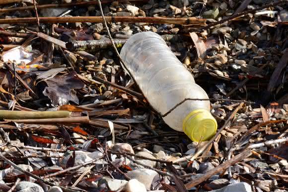 Plastikflasche in der Natur