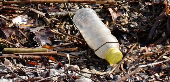 Plastikflasche in der Natur
