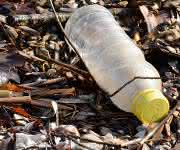 Langsamer Abbau durch Bakterien: Plastikflasche in der Natur Plastikflasche in der Natur