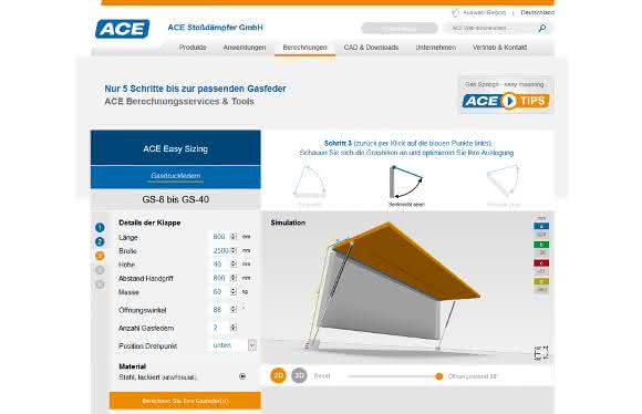 ACE online calculation program