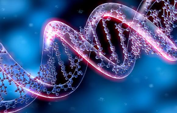 CRISPR Genome-Editing-Verfahren: CRISPR als am schnellsten wachsendes Segment prognostiziert