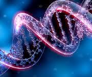 CRISPR Genome-Editing-Verfahren: CRISPR als am schnellsten wachsendes Segment prognostiziert