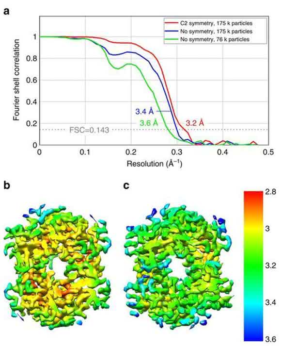 Ernst Ruska Prize 2017: Cryo-EM structure of haemoglobin at 3.2 Å determined with the Volta phase plate