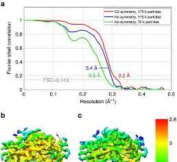 Ernst Ruska Prize 2017: Cryo-EM structure of haemoglobin at 3.2 Å determined with the Volta phase plate