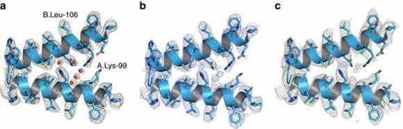 Ernst Ruska Prize 2017: Cryo-EM structure of haemoglobin at 3.2 Å determined with the Volta phase plate