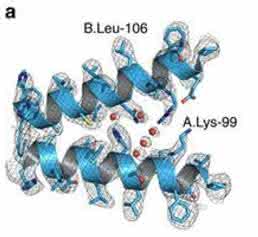 Ernst Ruska Prize 2017: Cryo-EM structure of haemoglobin at 3.2 Å determined with the Volta phase plate