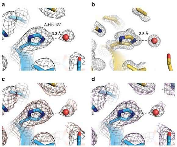 Ernst Ruska Prize 2017: Cryo-EM structure of haemoglobin at 3.2 Å determined with the Volta phase plate