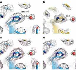 Ernst Ruska Prize 2017: Cryo-EM structure of haemoglobin at 3.2 Å determined with the Volta phase plate
