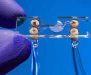 Sortier-Chip zur Analyse und Isolation von Zellen in einer Blutprobe