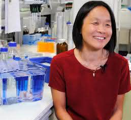 IMO Senior Scientist Elly Tanaka hat maßgeblich zur Genom-Sequenzierung beim Axolotl beigetragen (Bild: IMO)