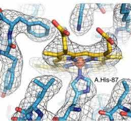 Ernst Ruska Prize 2017: Cryo-EM structure of haemoglobin at 3.2 Å determined with the Volta phase plate