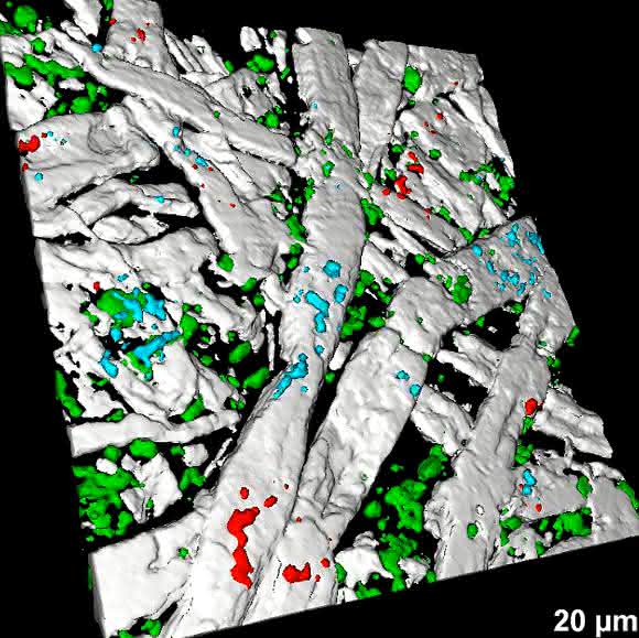 3D-Raman-Bild Raman-Imaging: Mit aktiver Fokus-Stabilisierung