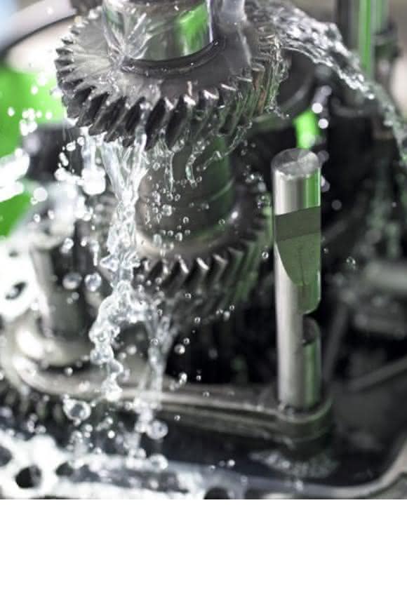 Biological parts cleaners Biological parts cleaners