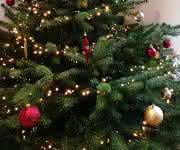 Geschmückter Weihnachtsbaum Geschmückter Weihnachtsbaum