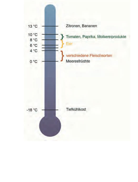 Vorgeschriebene Kühl- und Lagertemperaturen einiger ausgewählter Lebensmittel im Vergleich (Bild: Hanna Instruments).
