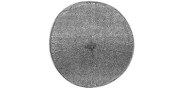 Röntgenhologramm (Ausschnitt) einer Schale der Kieselalge Actinoptychus senarius mit einem Durchmesser von nur 0,1 Millimetern.