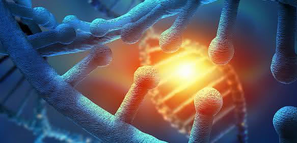 Genregulation: Reaktivierung von Genen ohne Risiko