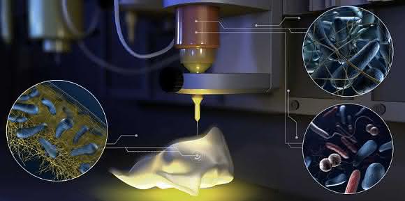 3D-Druck und Life Sciences: Minifabriken aus bakterienhaltigen Strukturen