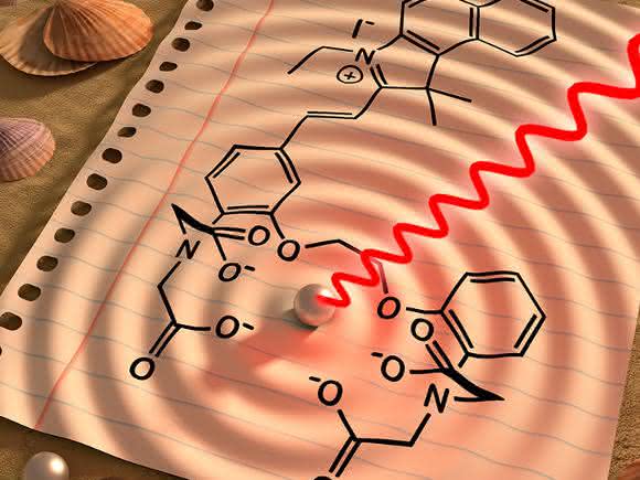 Schematische Darstellung Kalziumwellen