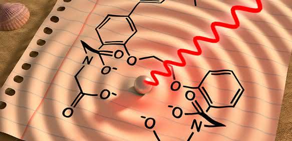 Kalziumwellen – ein neuer Sensor verwandelt Licht in Schall, um Kalziumflüsse im Körper sichtbar zu machen. (Bild: B. van Rossum / G. Westmeyer) Schematische Darstellung Kalziumwellen